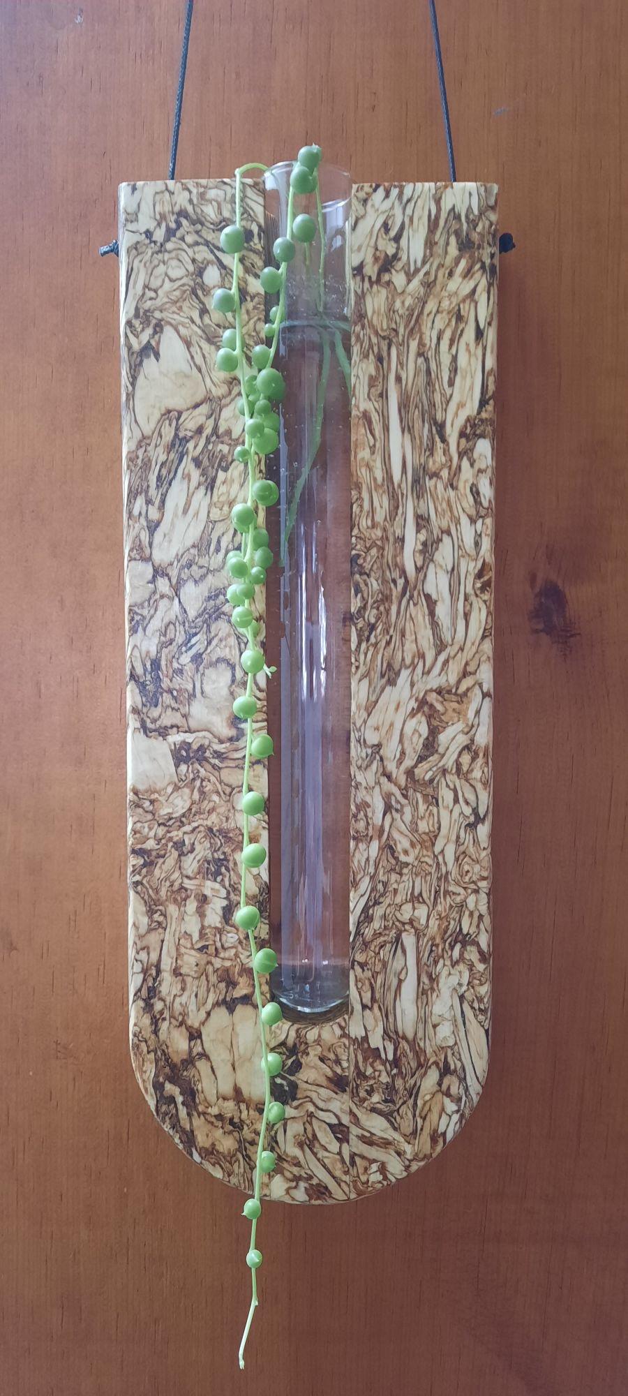 Hanging Test Tube Propagation Station | Single Stem Vase