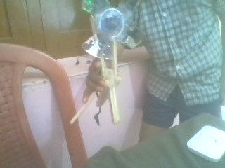 Take Ice Cream Stick and Hot Glue