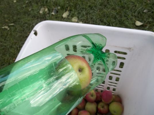 Terri's Soda Bottle Apple Picker