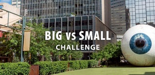 Big vs Small Challenge