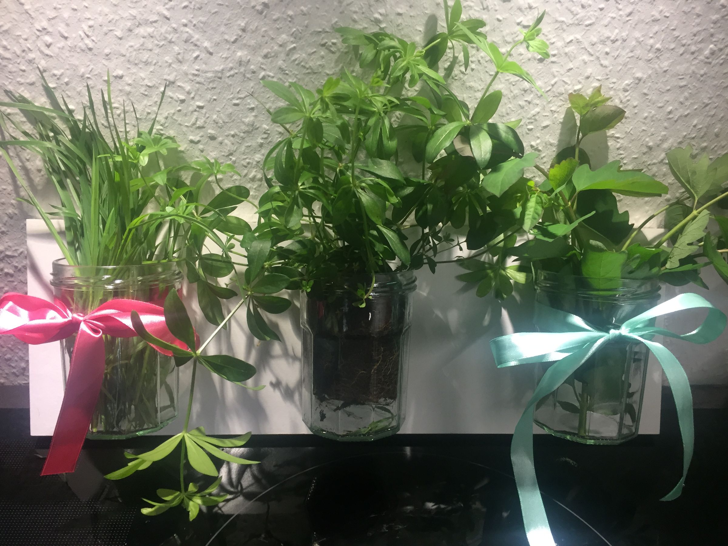 How to Make Your Own Herb Garden 10 Steps (with Pictures) Instructables