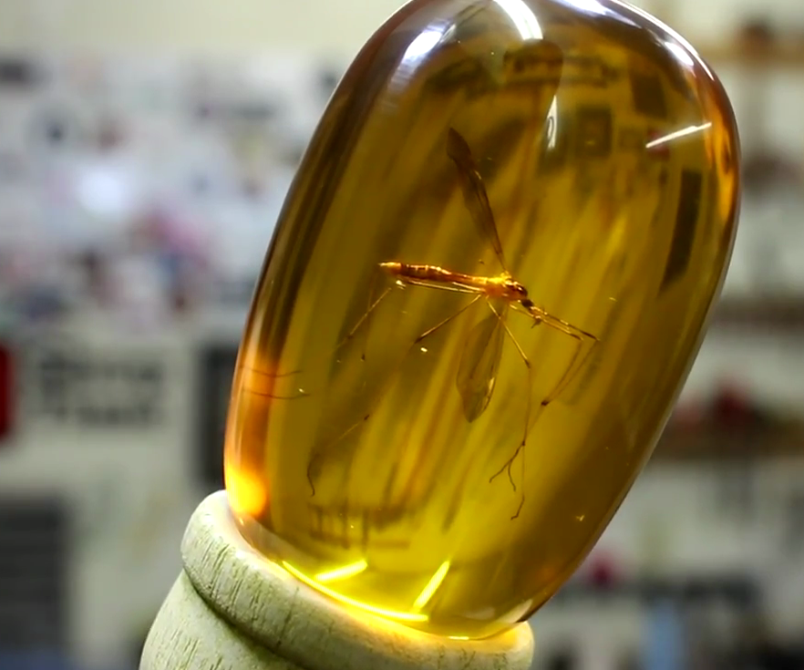 Mosquito in Amber Prop Replica