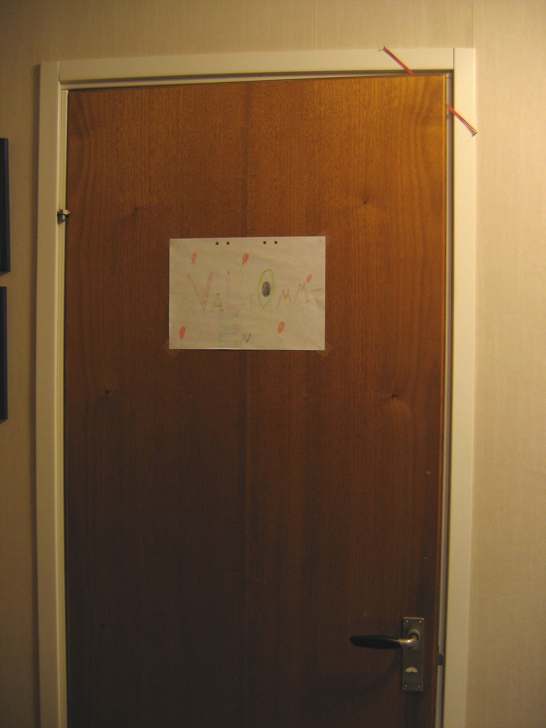 Cat Friendly Interior Door