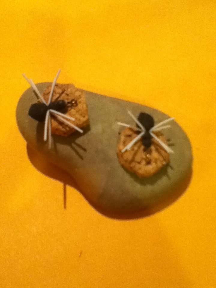 How to Tie a Simple Spider Fly