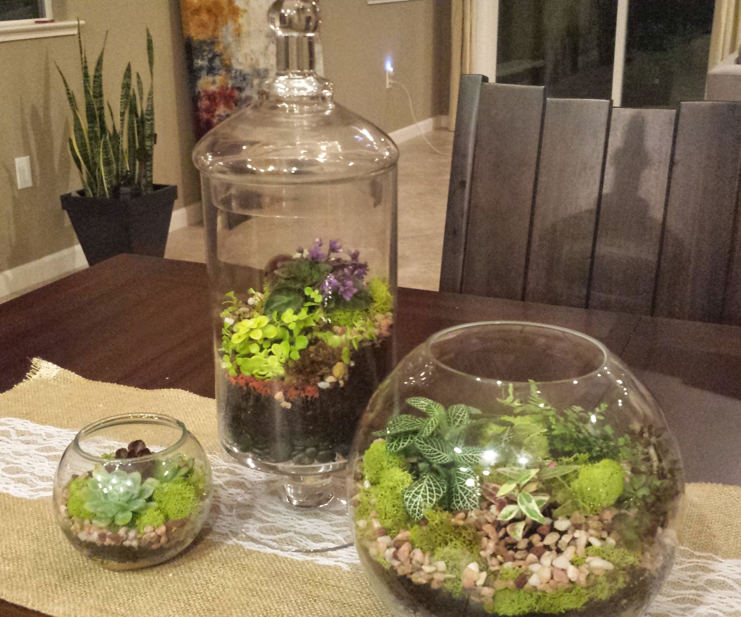 Beautiful Succulent Terrarium in Minutes.