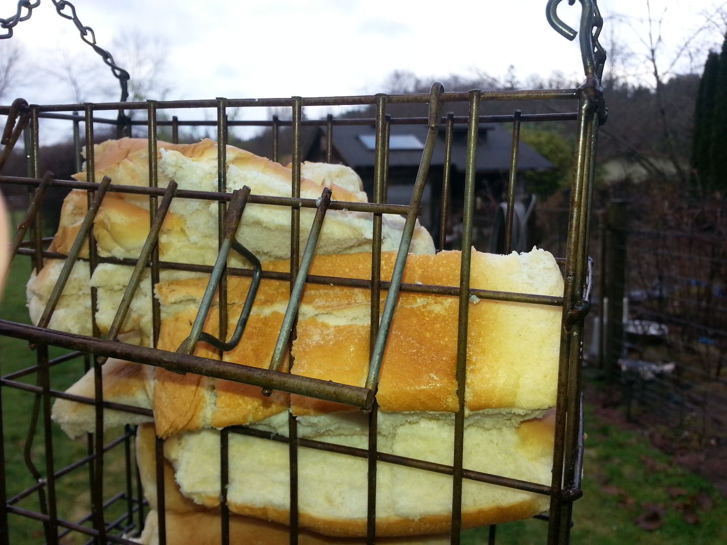 Bird Bread Feeder Instructables