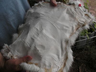 Make a Rabbit Fur Hat From Scratch : 5 Steps (with Pictures ...