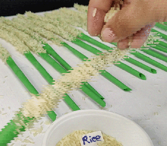 Creating the Flower