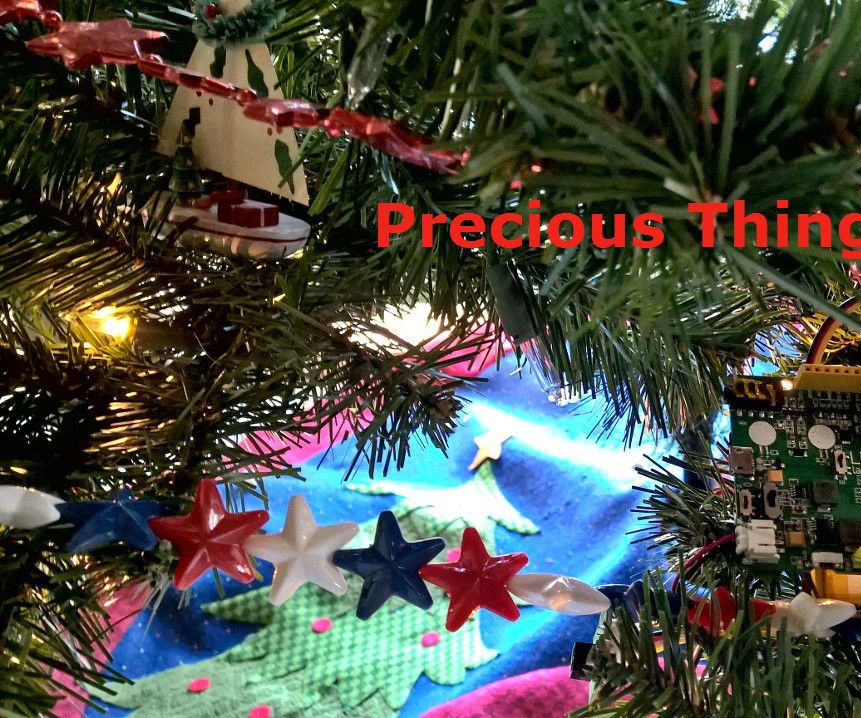 Precious Things Protector