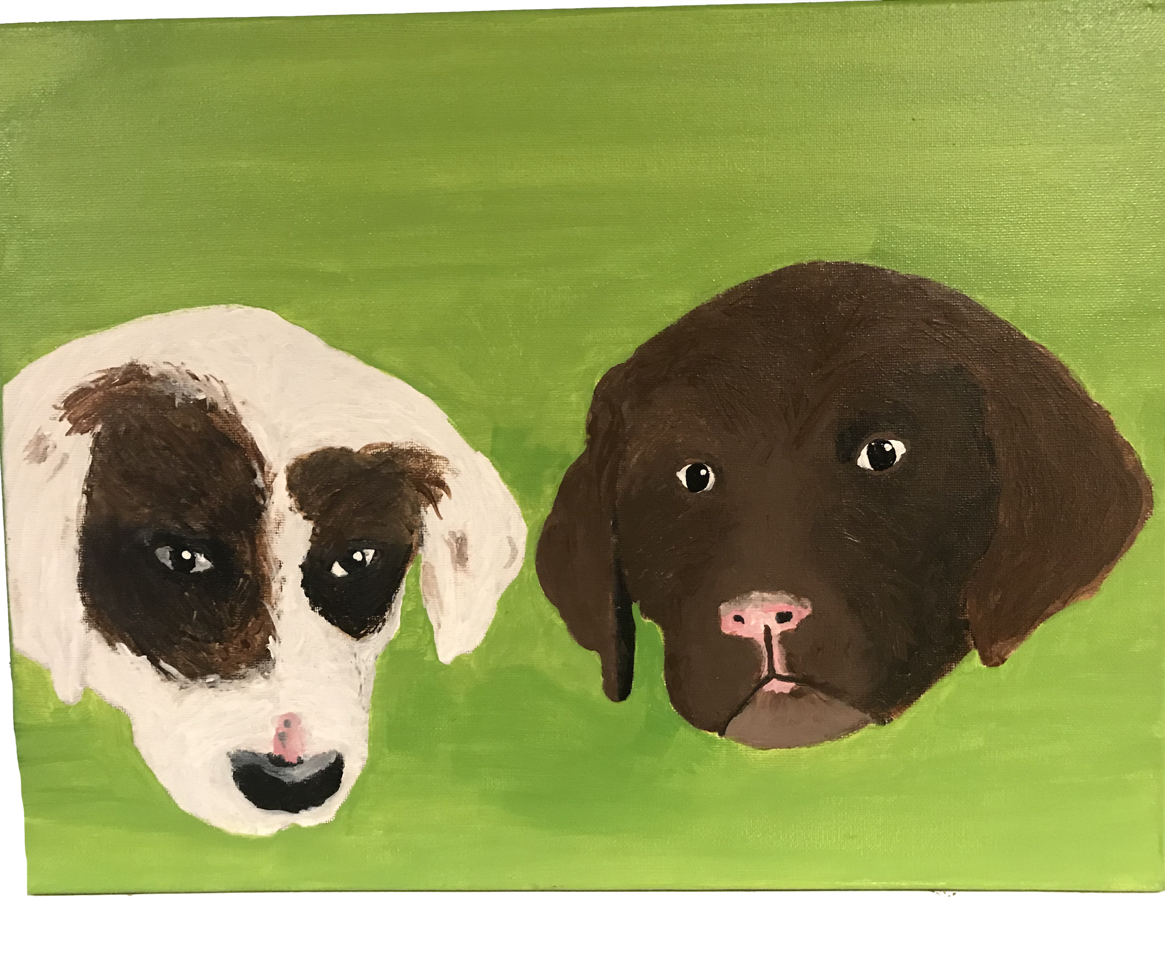 Advanced Art 2 Final Project