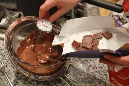 Temper the Chocolate