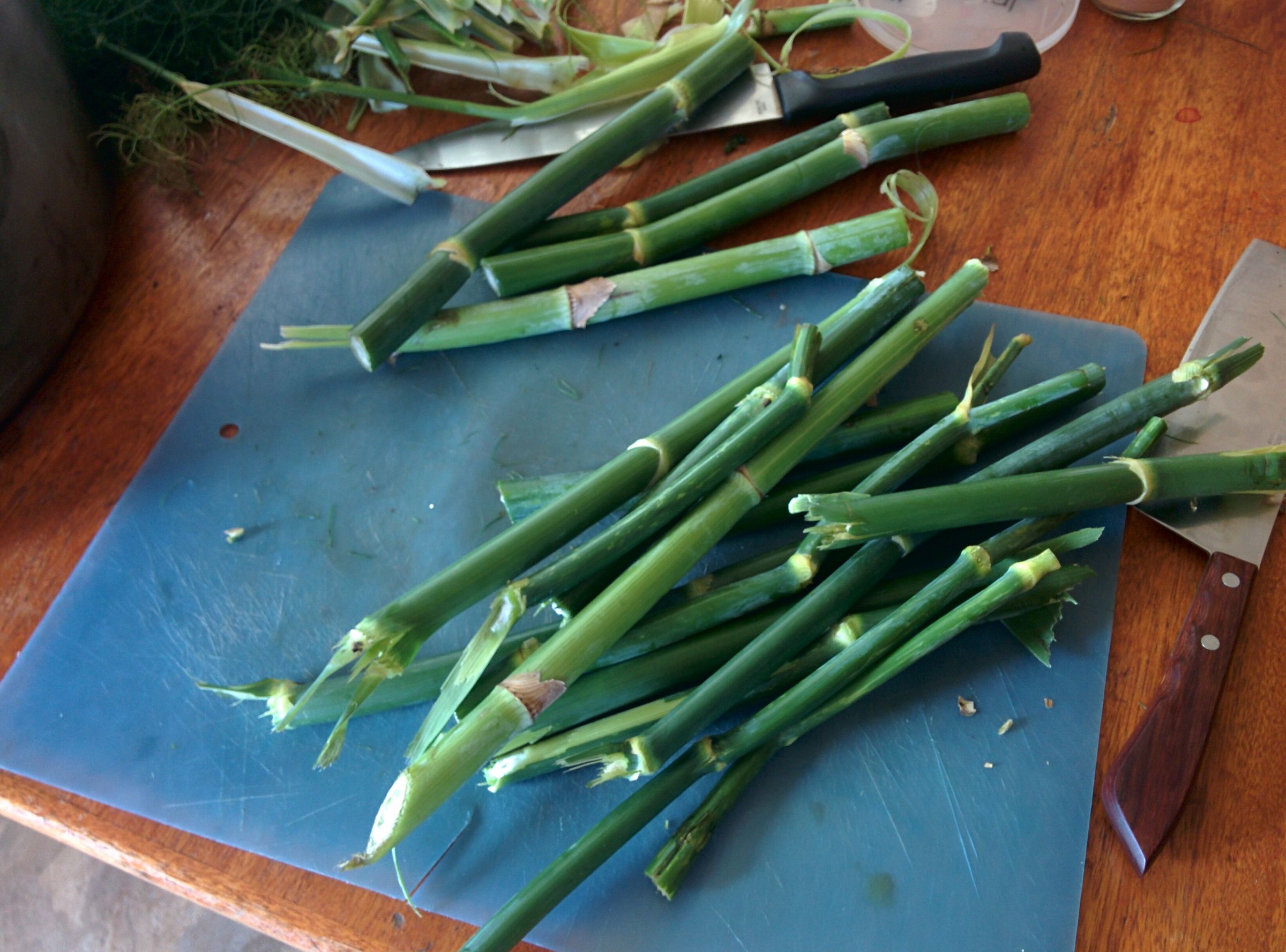 Fennel Stalk Soup Stock 3 Steps Instructables