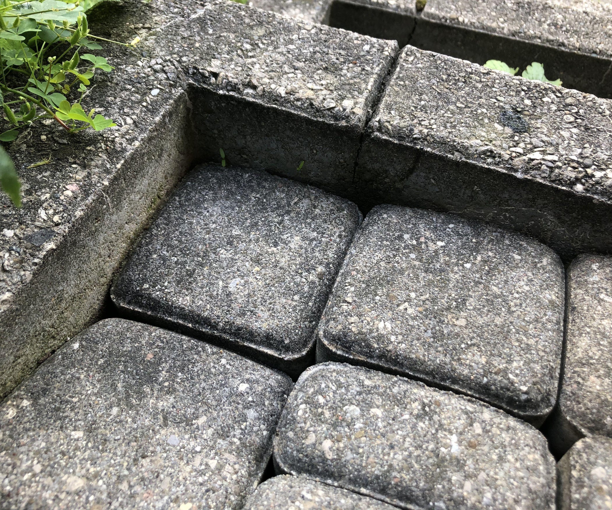 Repair Sunken Pavers 6 Steps (with Pictures) Instructables