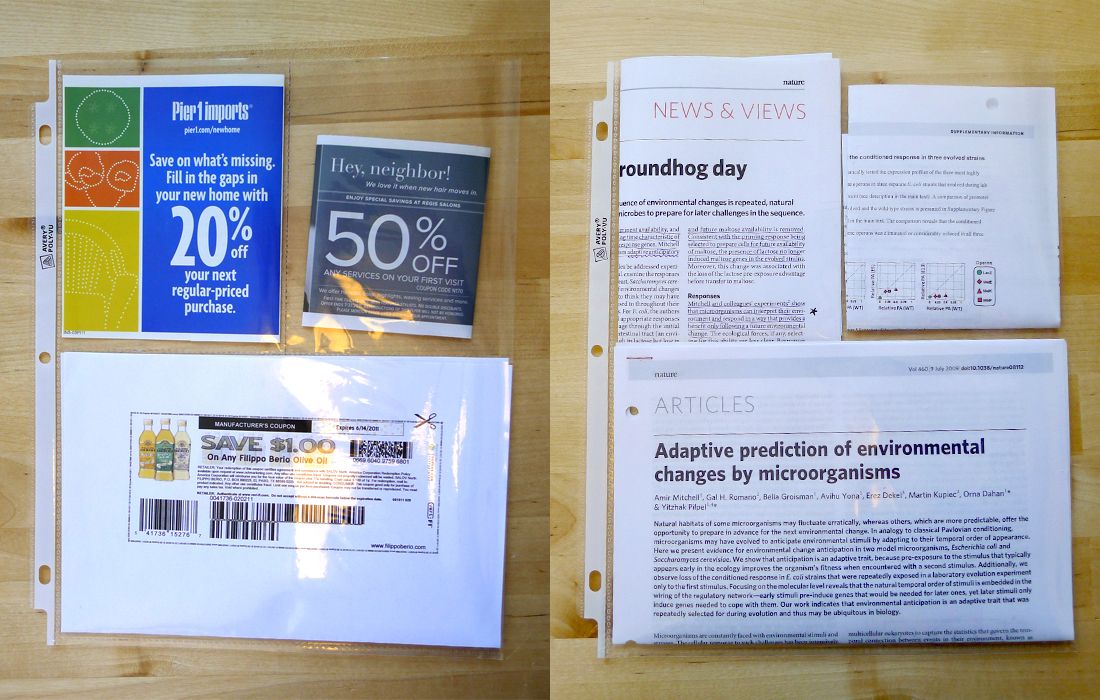 Divide Your Page Protectors