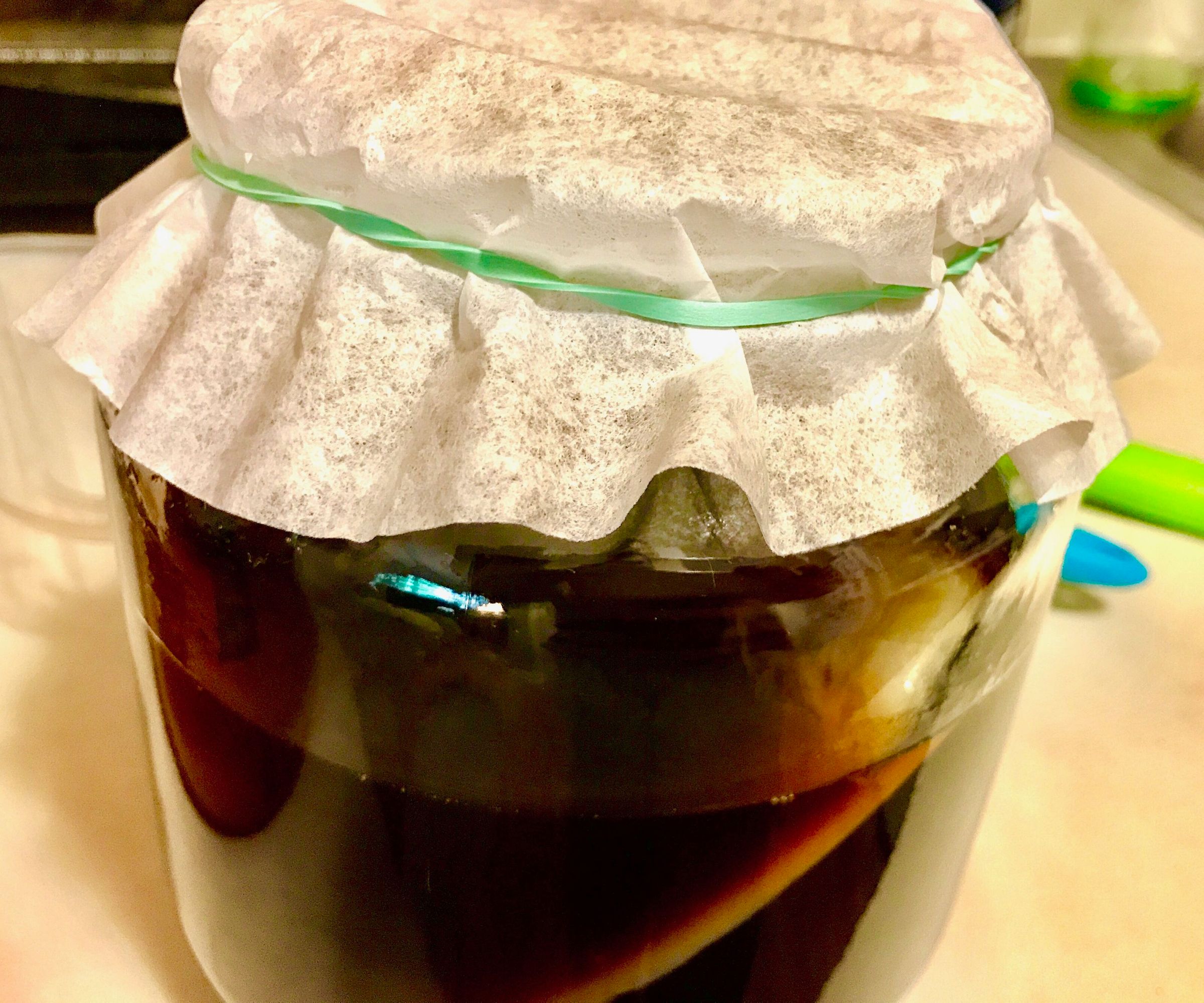 How to Grow a SCOBY