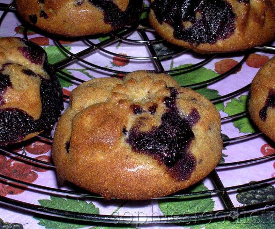 Wholemeal Spelt Blueberry Breakfast Muffins!