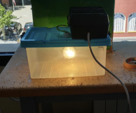 Horno Bacterias Low-cost Con Arduino