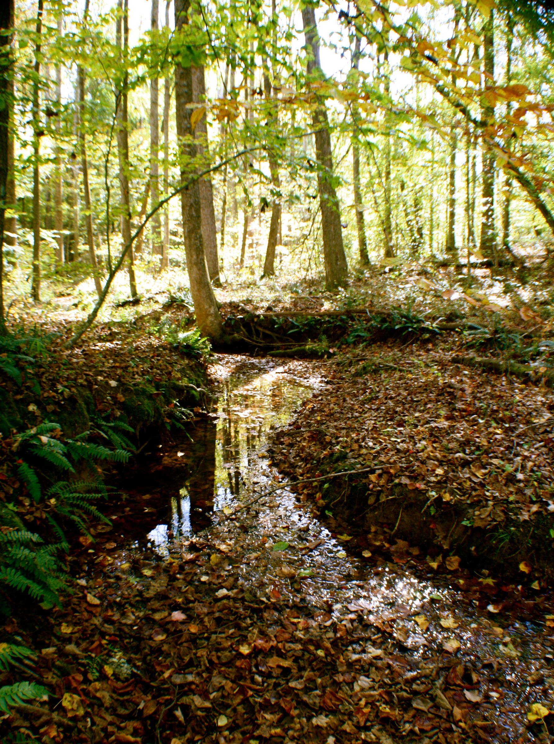 Hiking How-To: What I Bring Along With Me.