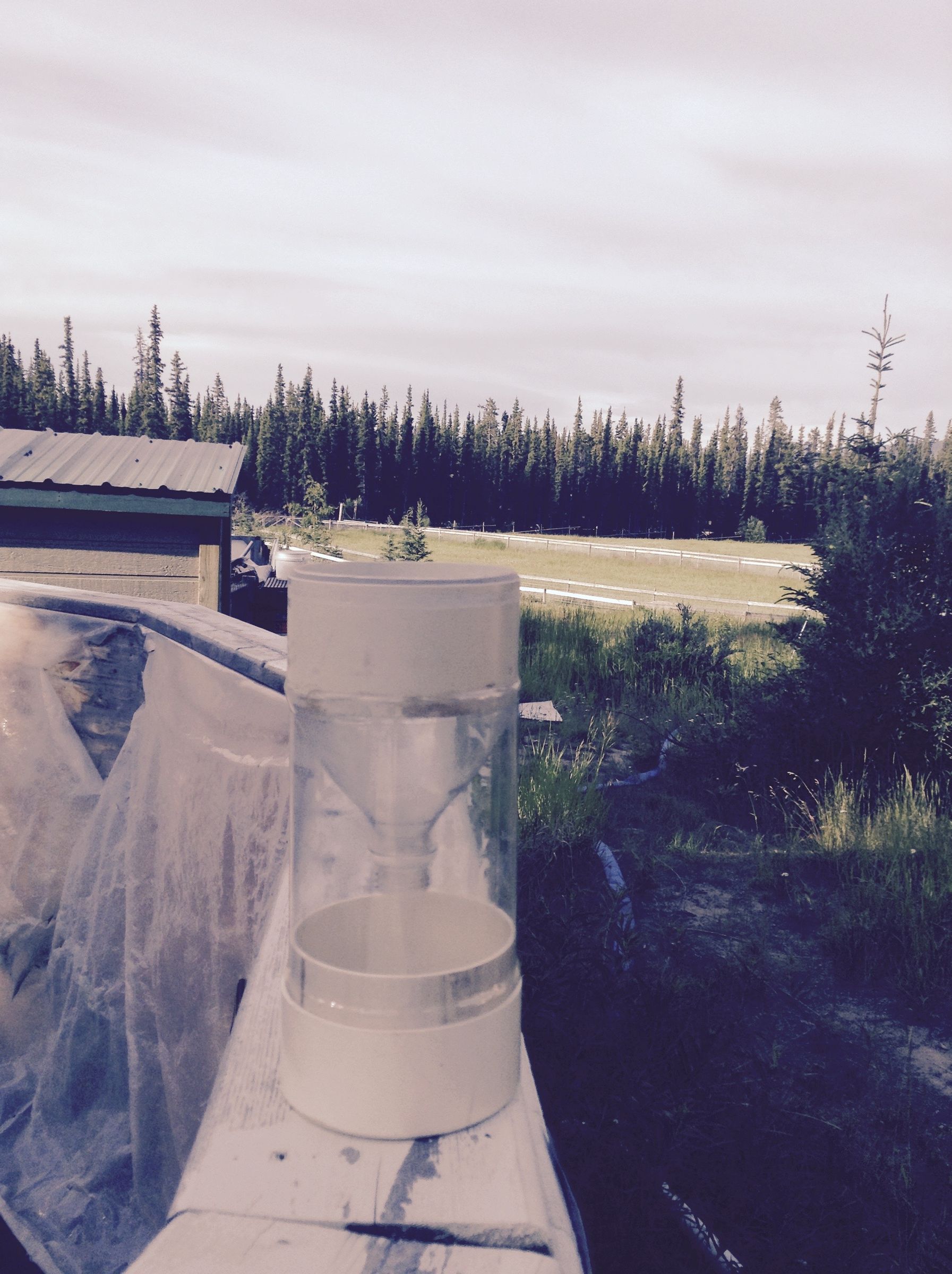 Pop Bottle Rain Gauge 5 Steps Instructables