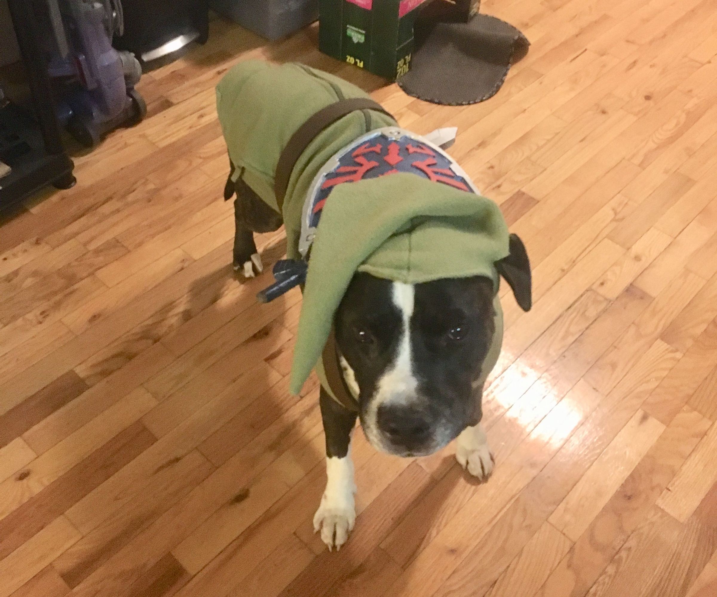 Legend of Zelda: "Link" Dog Costume