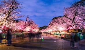 Researching & Analyzing Ideas