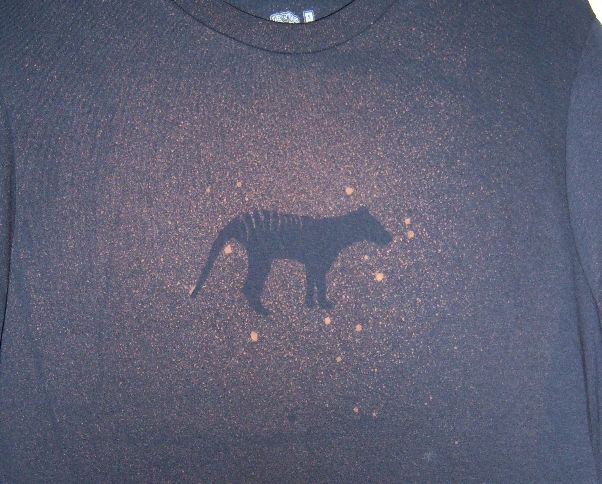 Bleach Design Tees With Freezer Paper