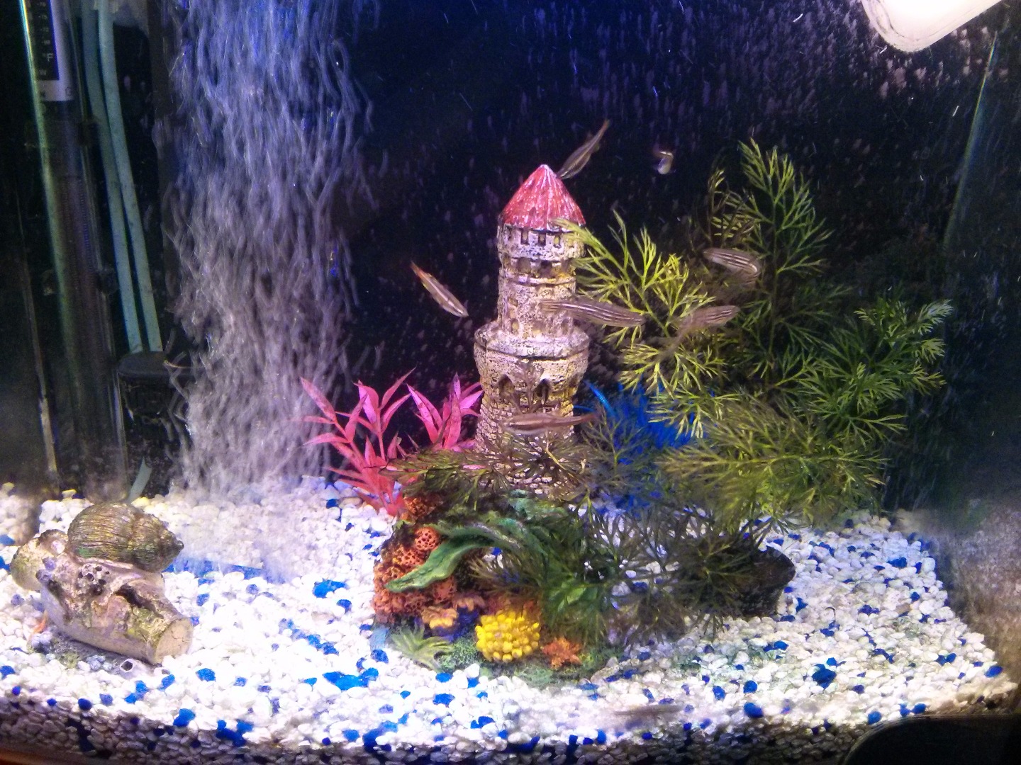 High Tech Aquarium LED Lighting for LESS