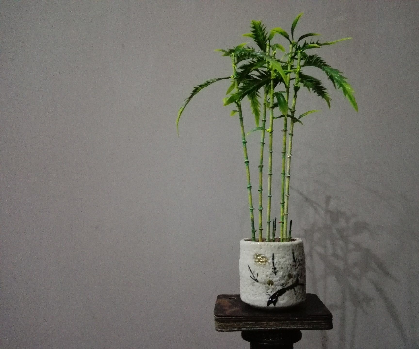How to Make DIY Dwarf Bamboo Palm Plant
