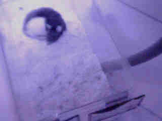 Making a Night-Vision Webcam