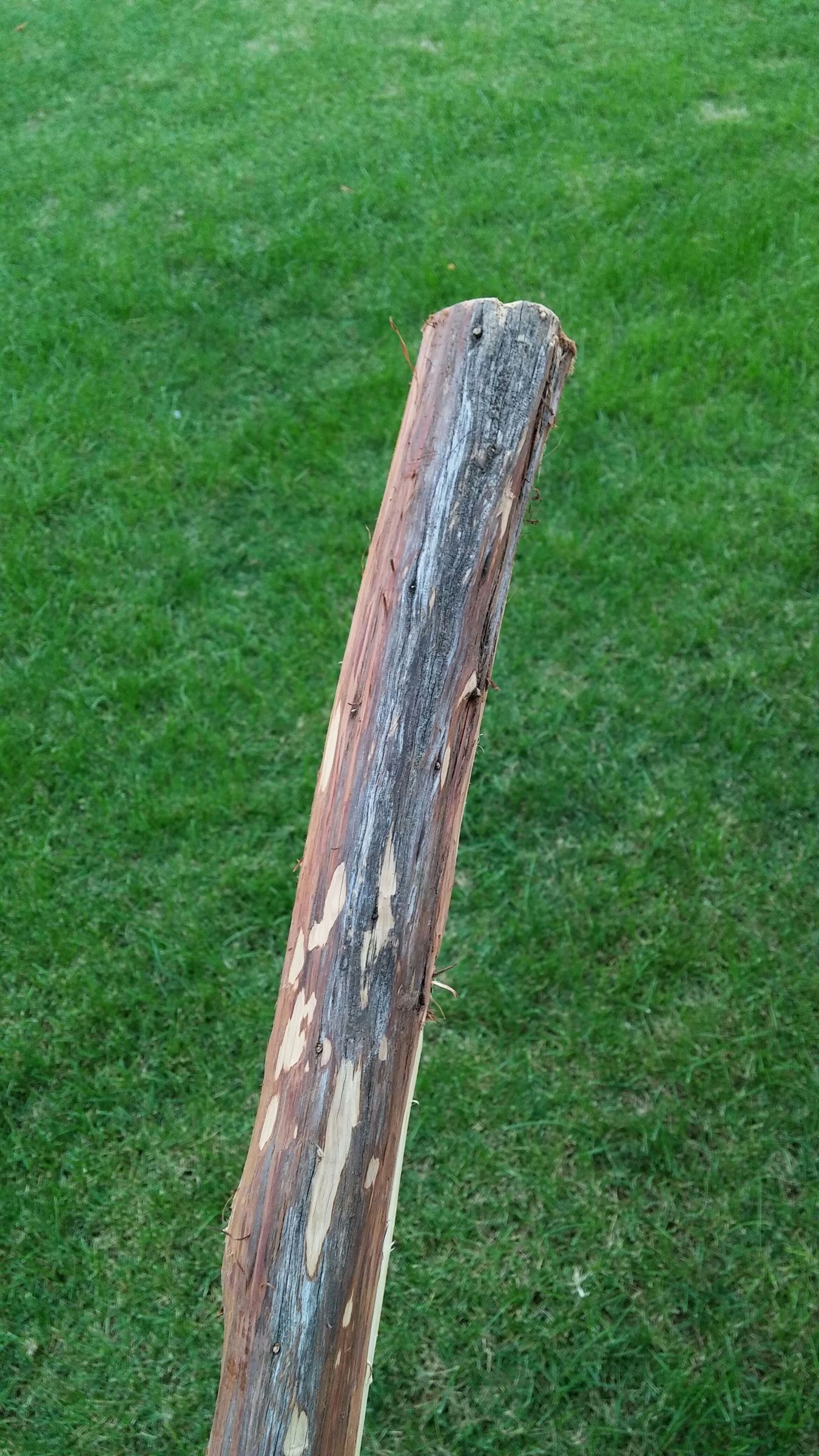 How to Make a Leather Handle for a Walking Stick 6 Steps (with