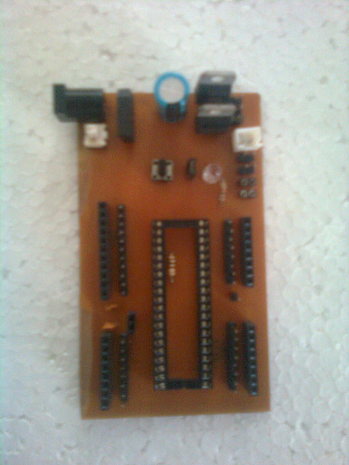 AVR32 Development Board at Home
