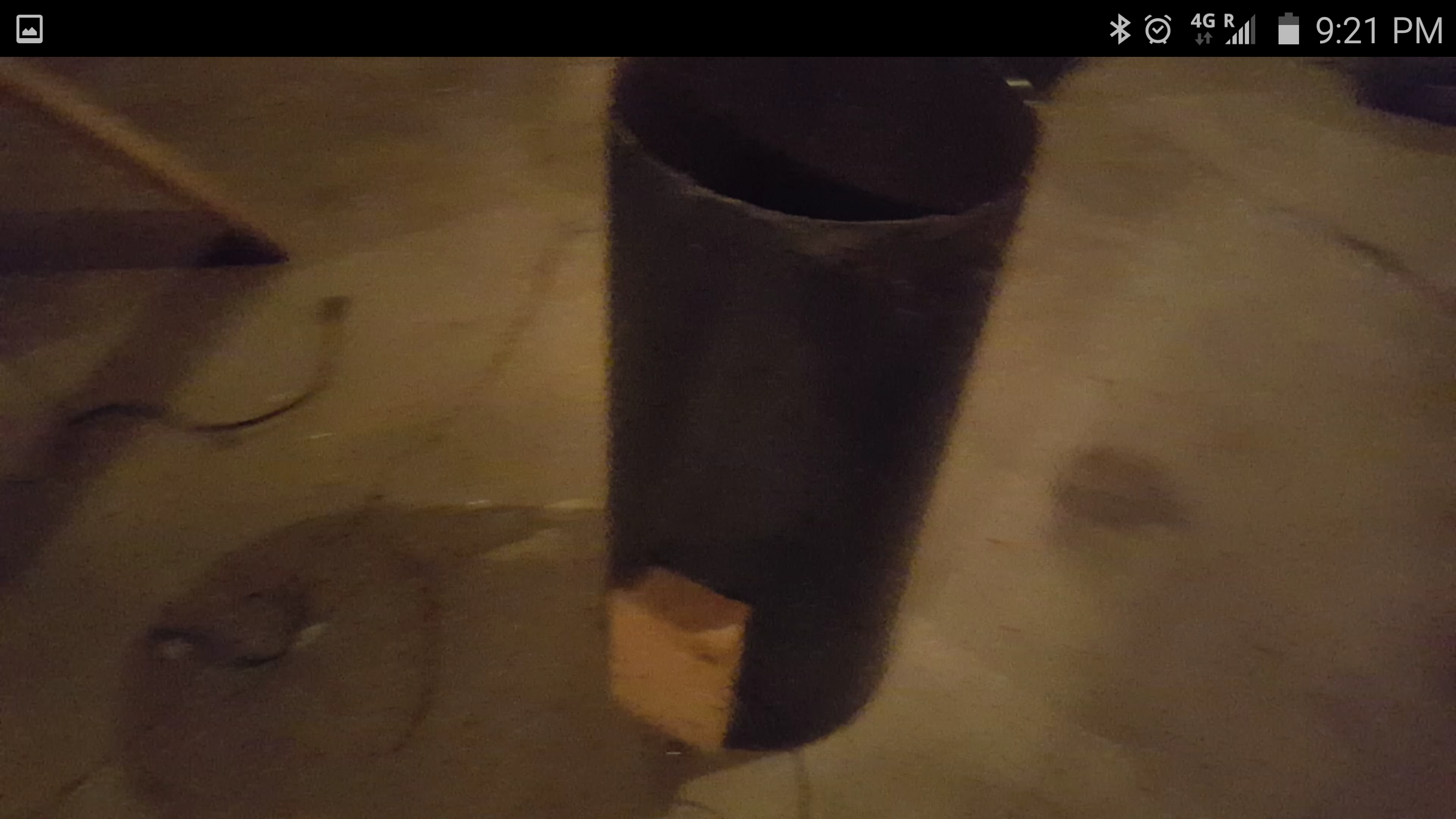 Electric Chicken Scalding Pot 