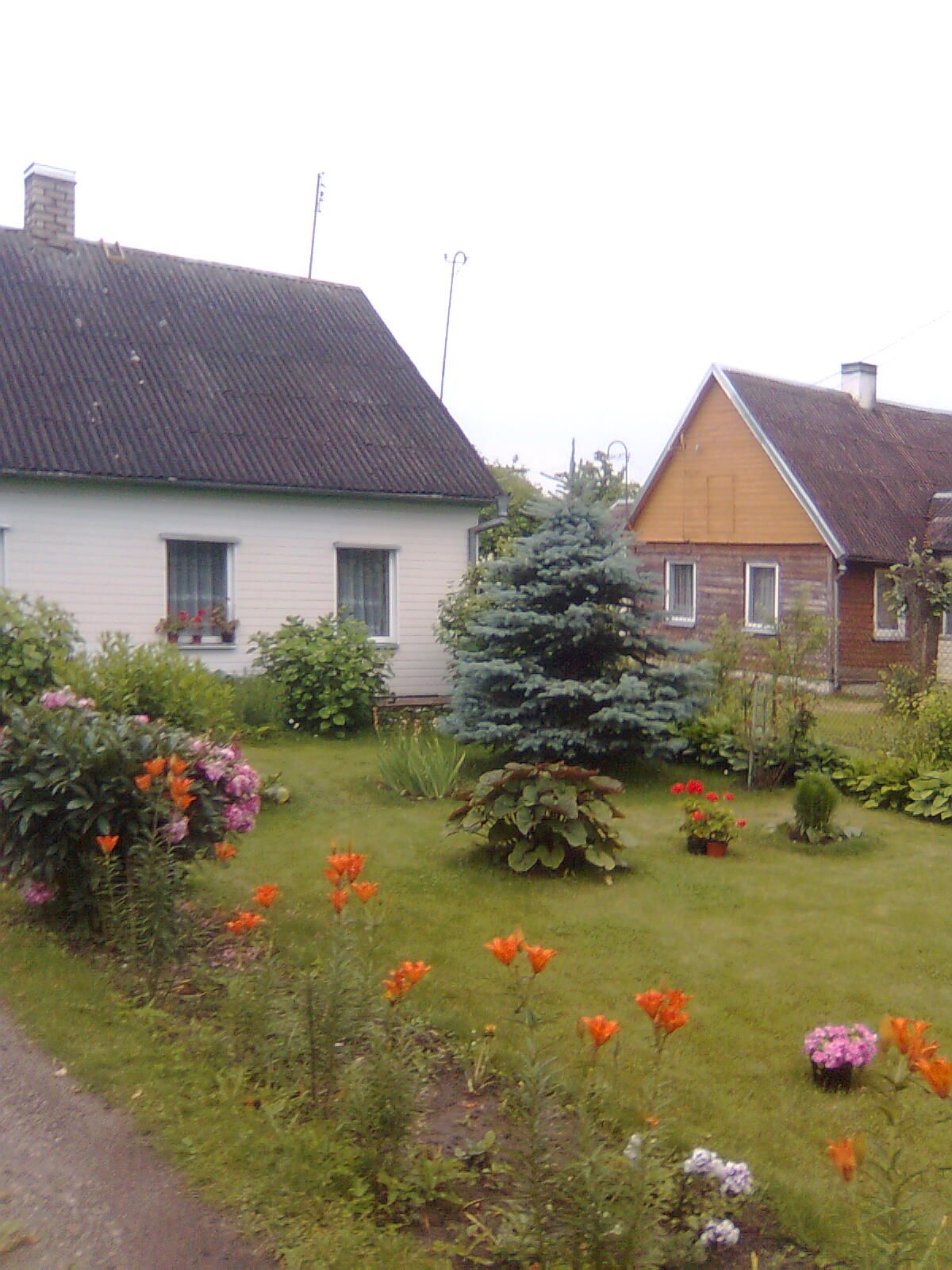 Grandmother Garden