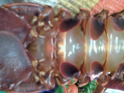 Rock Lobster Pondo-Style