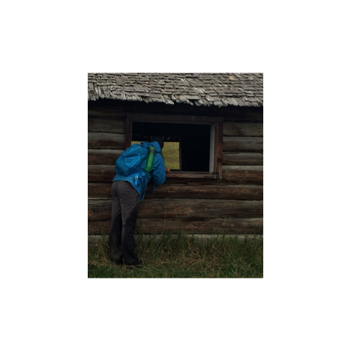 author