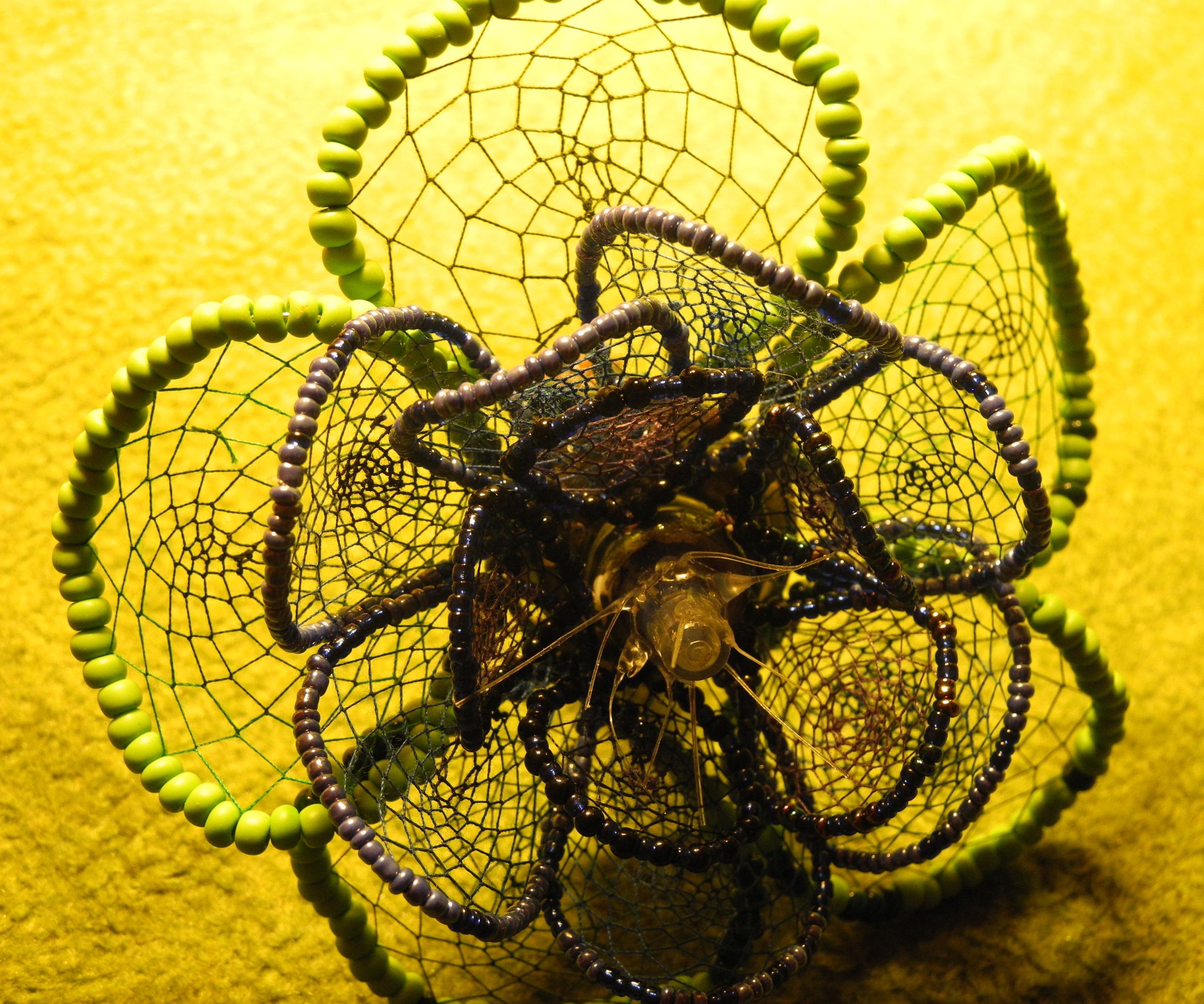 Crafty Dreamcatcher Fern Flower