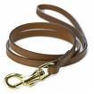 Tips on Walking Dogs That Really Work!