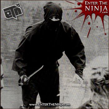 The Art of Becoming a Ninja