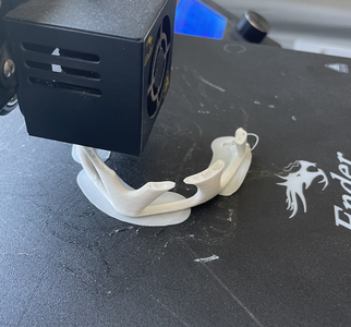 Simple Test Brace 7 - Printing 2