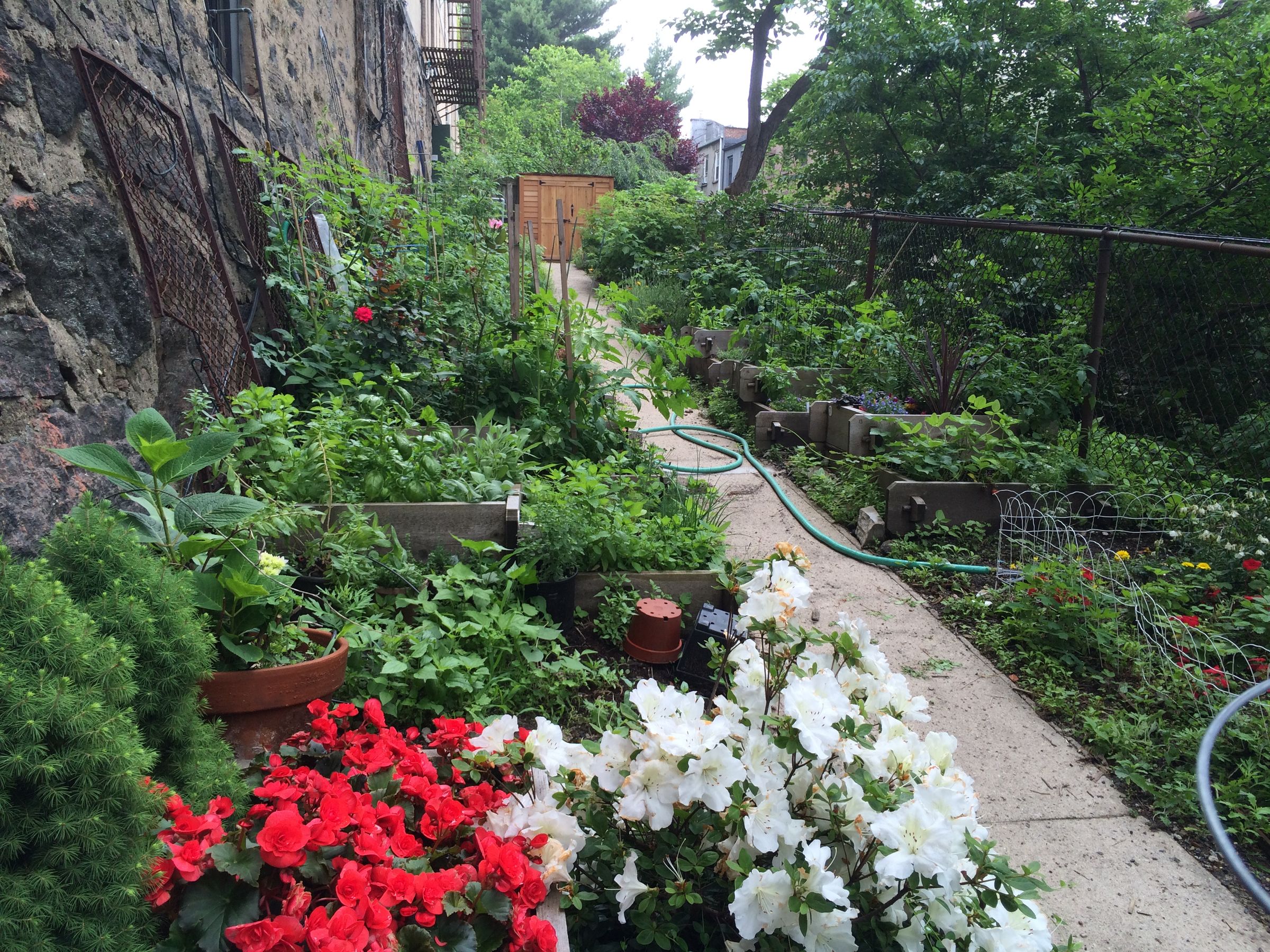 Build a Community Garden 8 Steps (with Pictures) Instructables