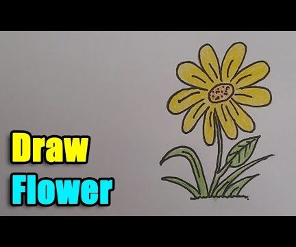 How to Draw a Flower - Step by Step and Super Easy