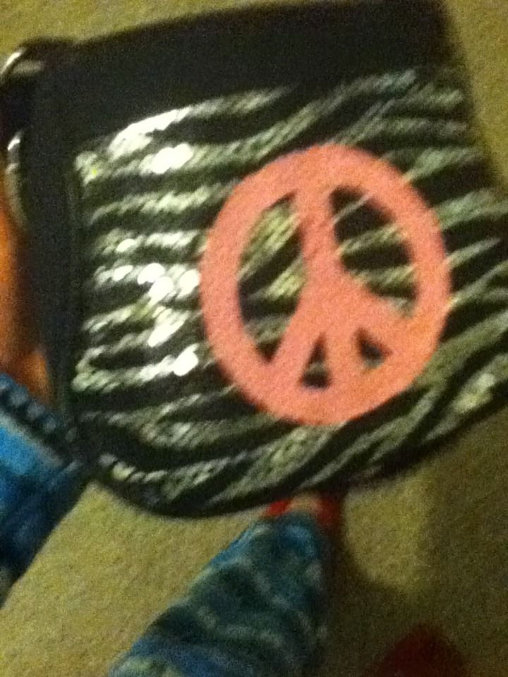 Purse Stash