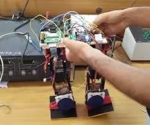 Biped Robot