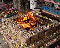 The Wide Flourish of Puja Services!