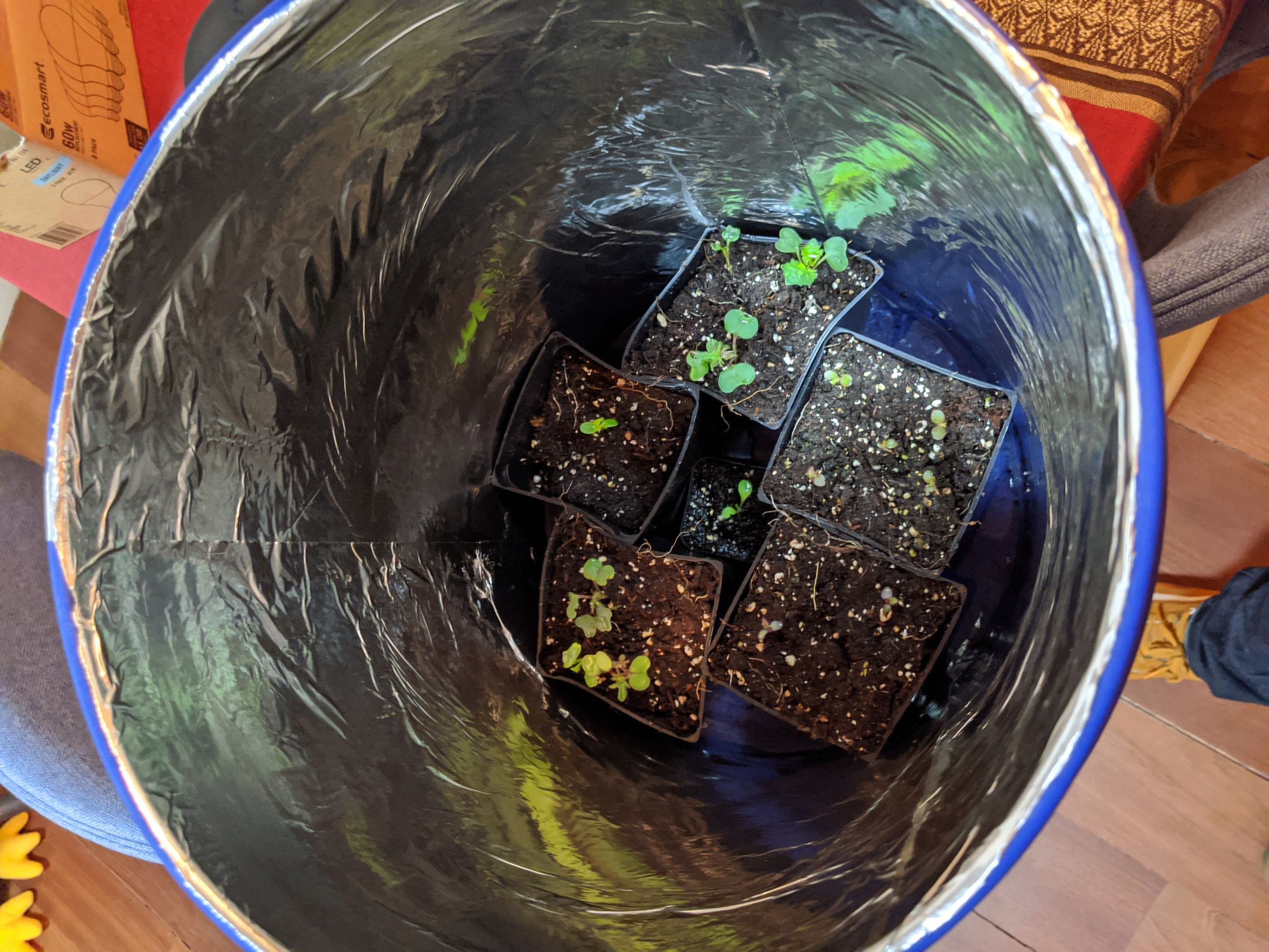 Much Lettuce Machine Aeroponic, Automatic Grow Box 6 Steps (with
