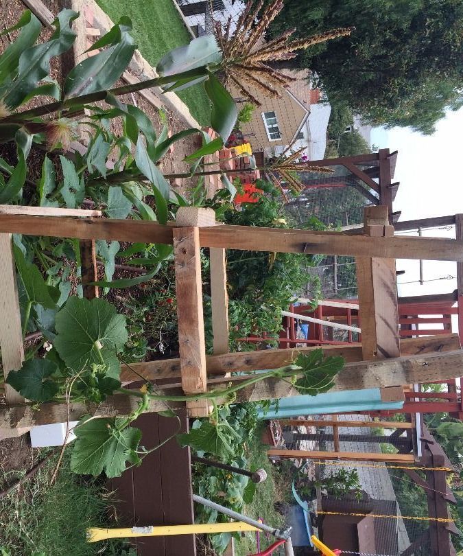 Pallet Garden Trellis