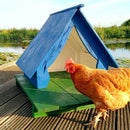 Summer Holidays for Chicken (using Poor Man's Fibreglass)