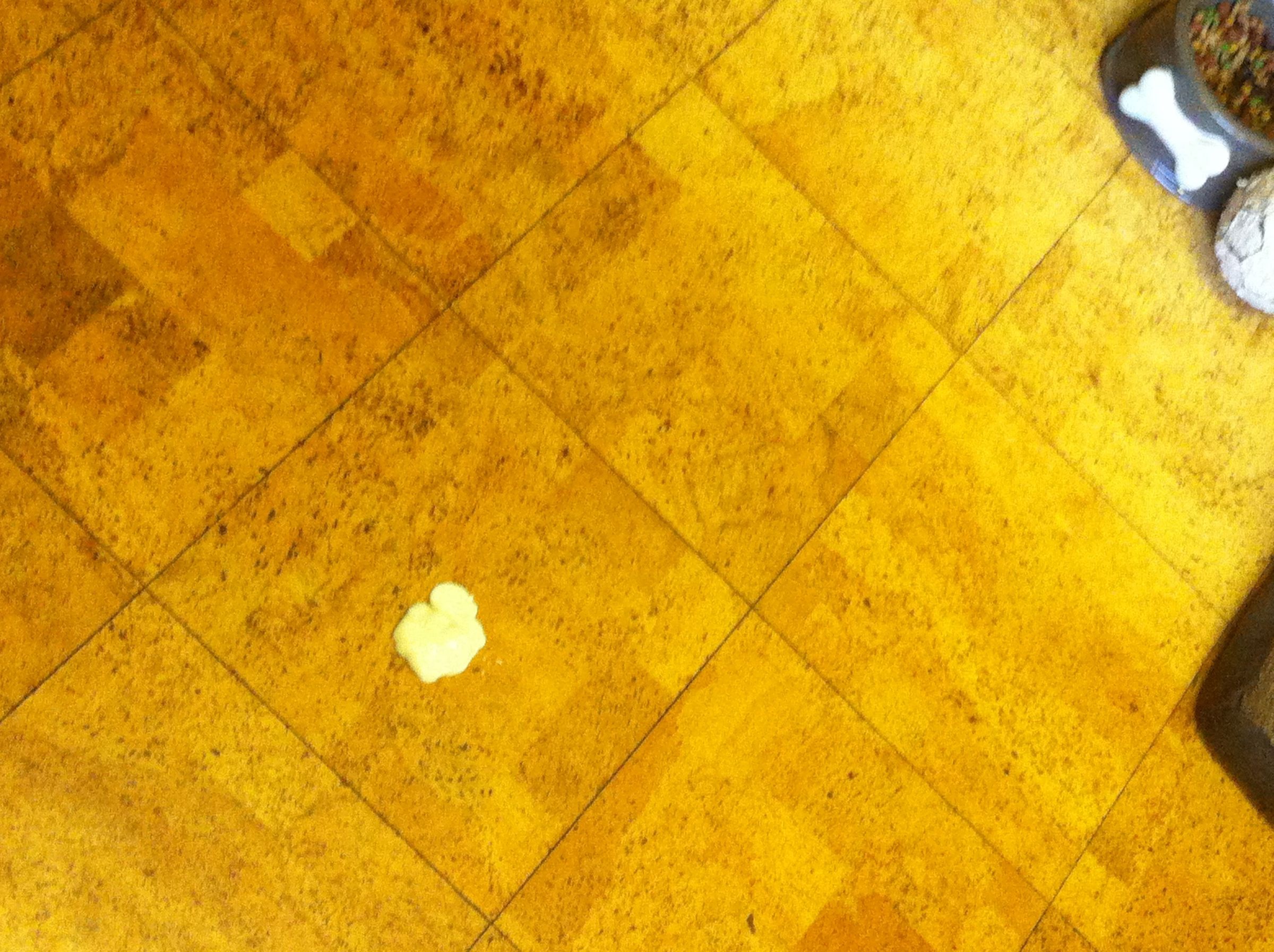 FUN Gloop Corn Flour Experiment 5 Steps Instructables