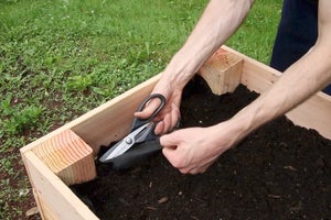 Fill With Dirt and Plant