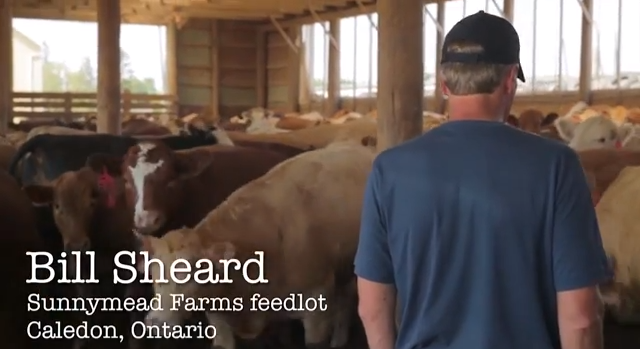 Farm to Table